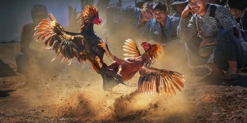 Những loại kèo nào không nên cược - Né ngay để không gặp rắc rối