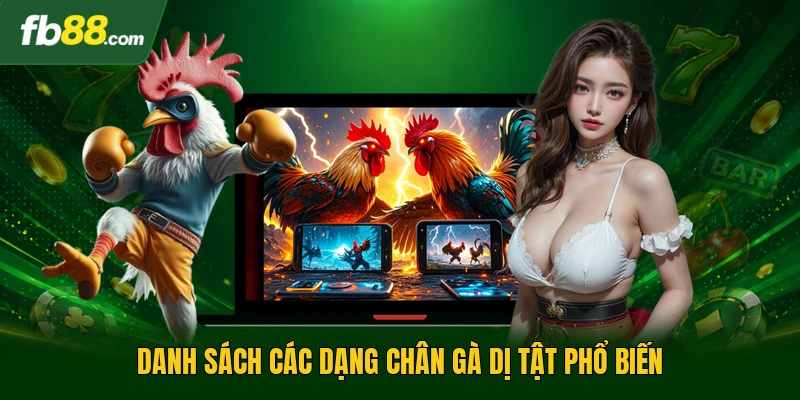 Vảy Gà Chọi Xấu - Những Đặc Điểm Nhận Diện Chiến Kê Kém Cỏi 2 Danh sách các dạng chân gà dị tật phổ biến