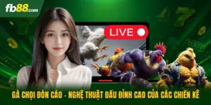 Gà Chọi Đòn Cáo - Nghệ Thuật Đấu Đỉnh Cao Của Các Chiến Kê