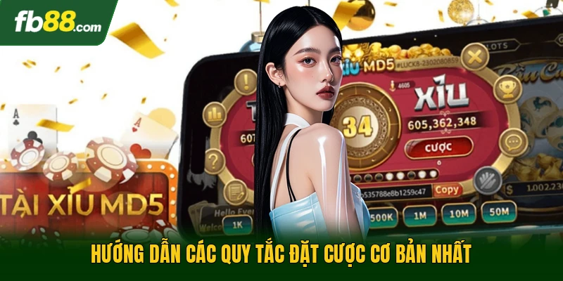 Hướng dẫn các quy tắc đặt cược cơ bản nhất