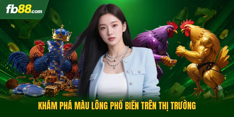 Gà Orpington - Khám Phá Các Đặc Điểm Sinh Học Nổi Bật Nhất 3 Khám phá màu lông phổ biến trên thị trường