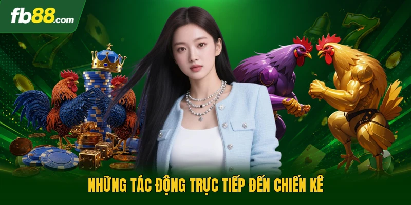 Gà Chọi Đòn Cáo - Nghệ Thuật Đấu Đỉnh Cao Của Các Chiến Kê 3 Những tác động trực tiếp đến chiến kê