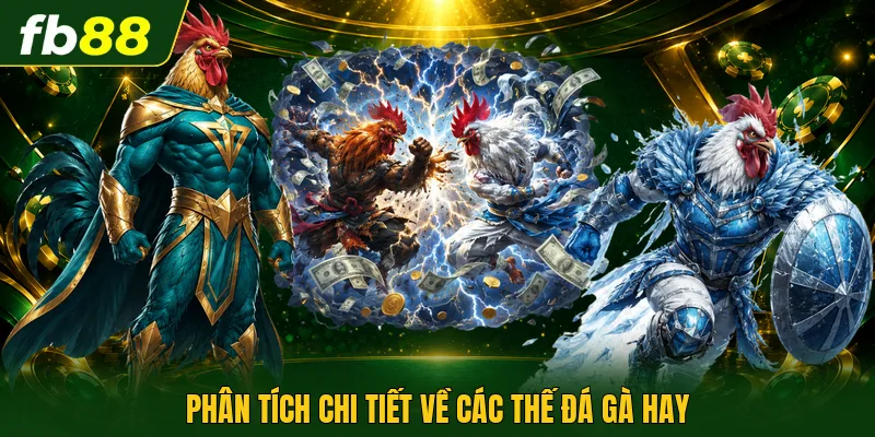 Các Thế Đá Gà Hay - Nghệ Thuật Hạ Gục Đối Thủ Nhanh 1 Phân tích chi tiết về các thế đá gà hay