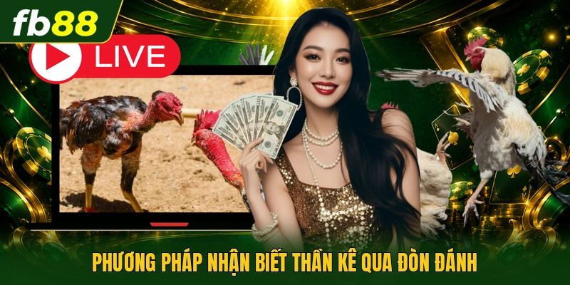 Các Thế Đá Gà Hay - Nghệ Thuật Hạ Gục Đối Thủ Nhanh 3 Phương pháp nhận biết thần kê qua đòn đánh