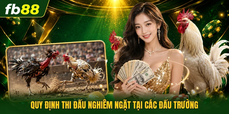 Quy định thi đấu nghiêm ngặt tại các đấu trường
