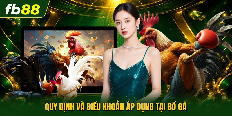 Đá Gà Thomo Campuchia | Đấu Trường Chiến Kê Dũng Mãnh 2 Quy định và điều khoản áp dụng tại bồ gà