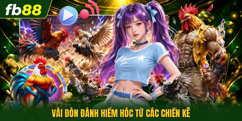 Các Thế Đá Gà Hay - Nghệ Thuật Hạ Gục Đối Thủ Nhanh 2 Vài đòn đánh hiểm hóc từ các chiến kê