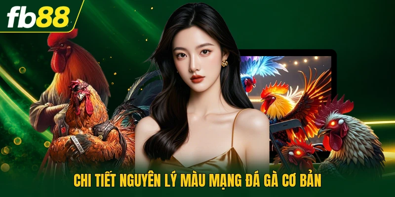 Chi tiết nguyên lý màu mạng đá gà cơ bản