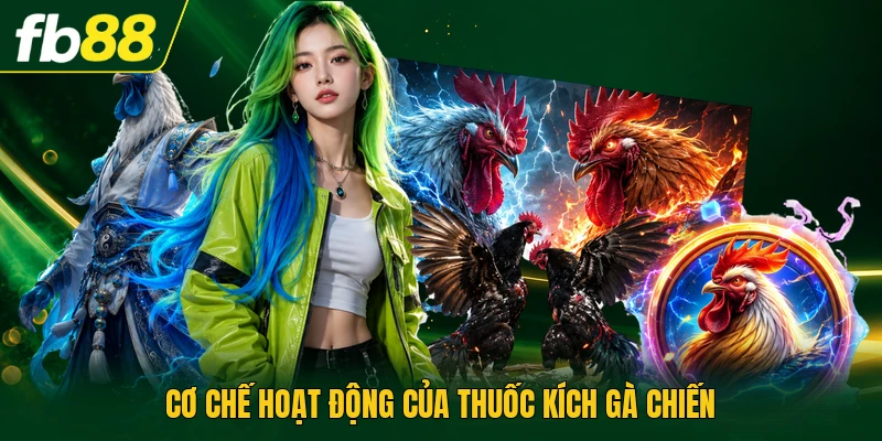 Thuốc Kích Gà | Bí Quyết Tăng Cường Thể Lực Và Sức Bền 1 Cơ chế hoạt động của thuốc kích gà chiến