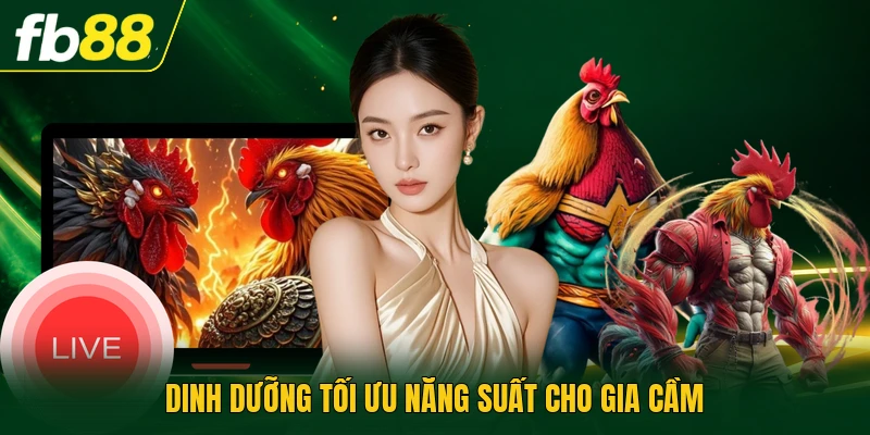 Cách Cho Gà Ăn Đúng Cách - Kỹ Thuật Dinh Dưỡng Thực Tế 3 Dinh dưỡng tối ưu năng suất cho gia cầm