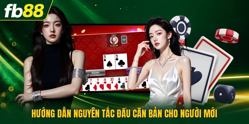 Hướng dẫn nguyên tắc đấu căn bản cho người mới