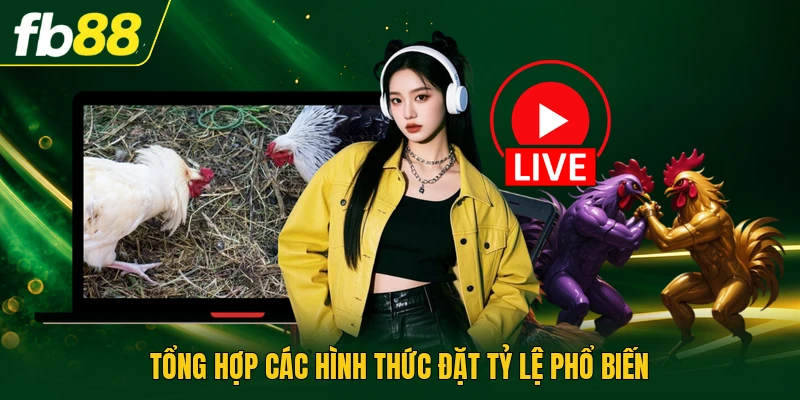 Trường Gà Campuchia - Hình Thức Thi Đấu Chọi Kê Đặc Sắc 3 Tổng hợp các hình thức đặt tỷ lệ phổ biến